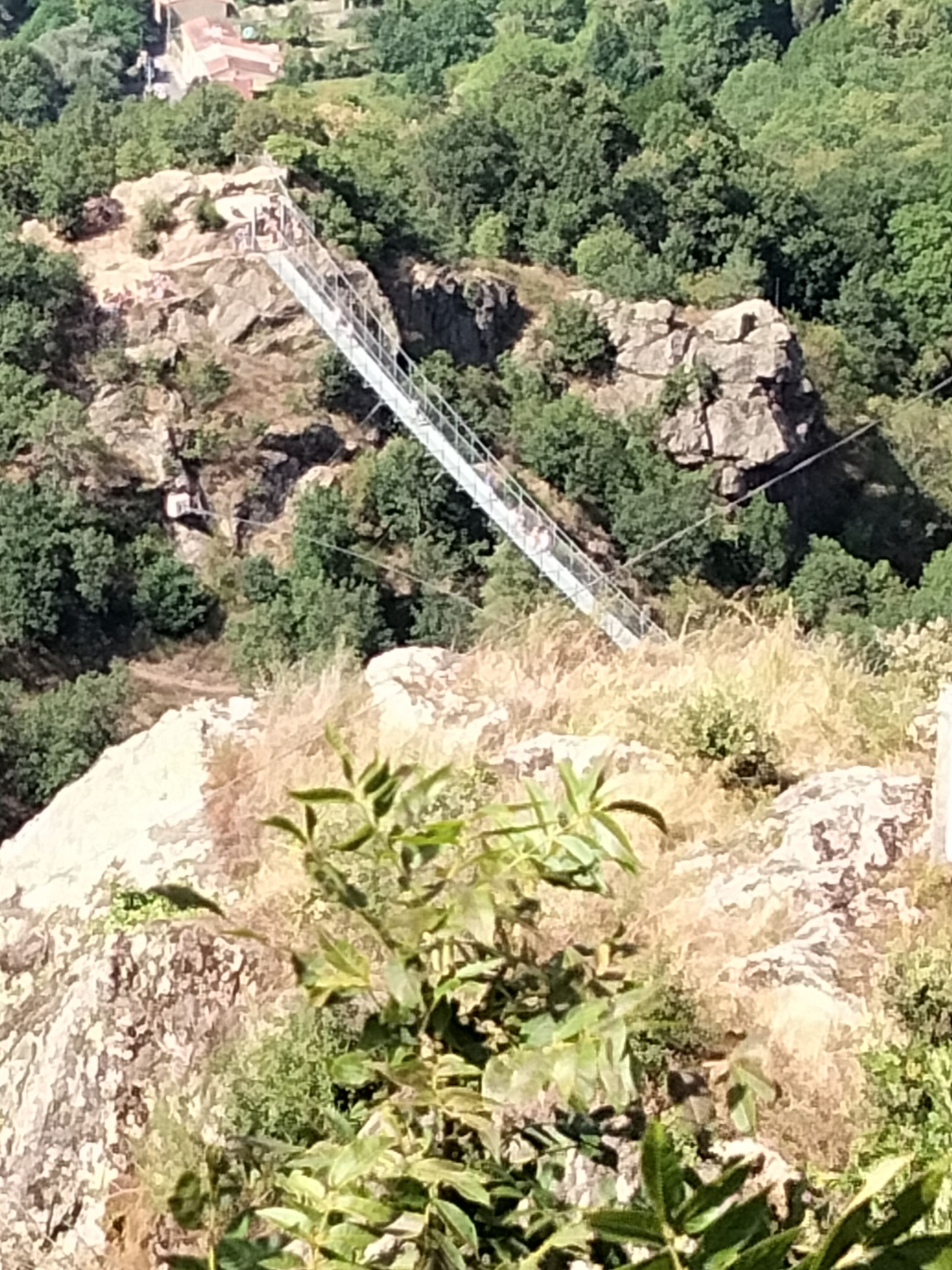 Photo n° 2 de l'avis de Christophe.a fait le 17/08/2023 à 19:00