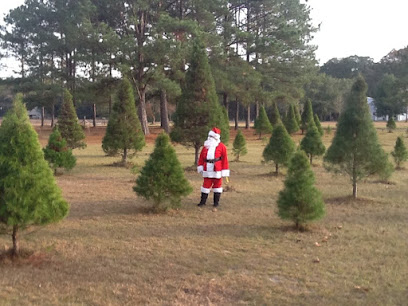 Merry Little Christmas Tree Farm - Sold Out - Closed