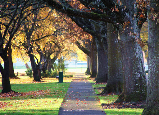 Park «Willamalane Park», reviews and photos, 1276 G St, Springfield, OR 97477, USA