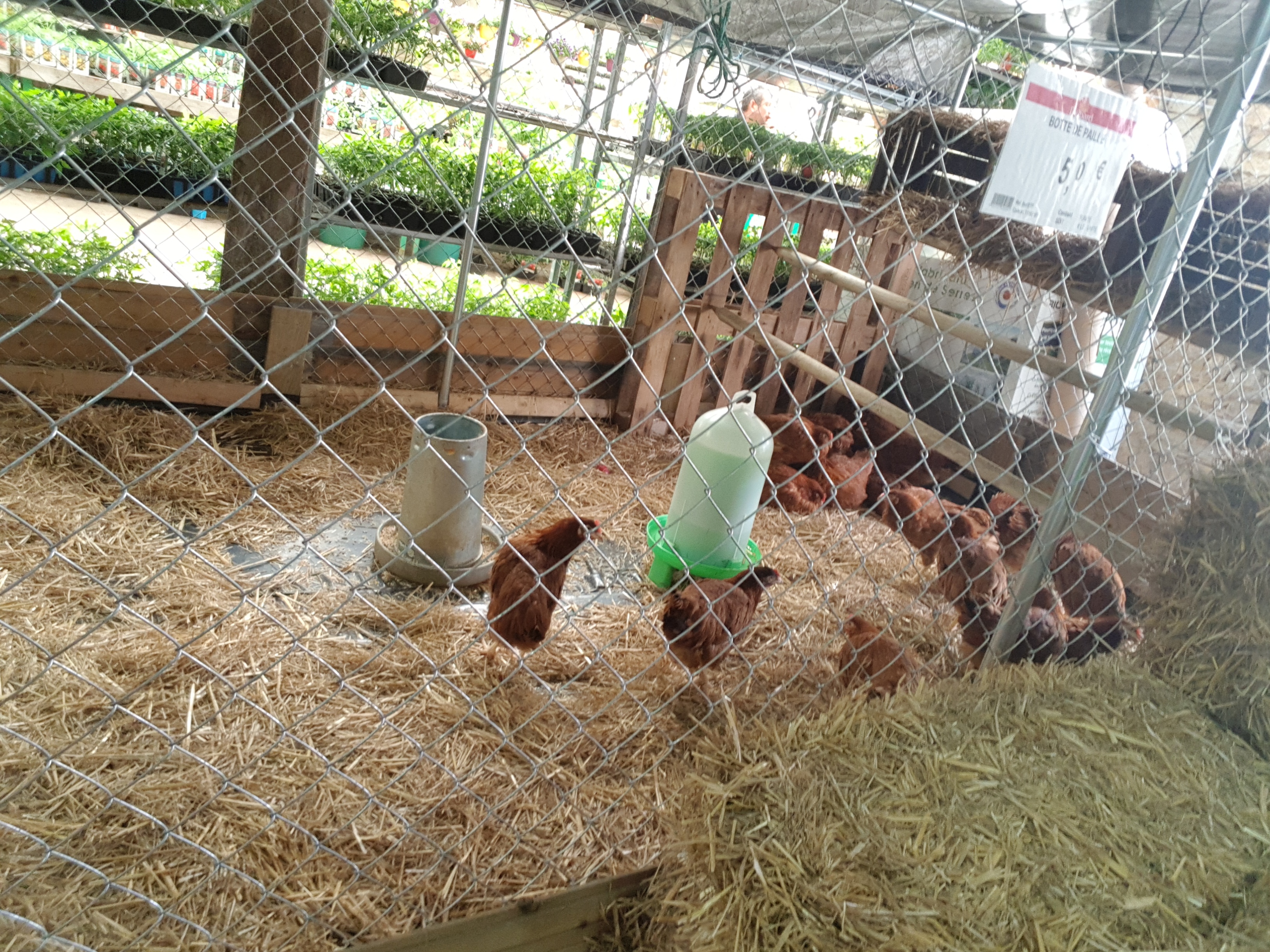 Photo n° 5 de l'avis de Meyli.U fait le 27/04/2018 à 17:30