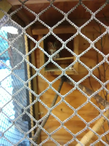 Park «Barfield Crescent Park», reviews and photos, 697 Veterans Pkwy, Murfreesboro, TN 37128, USA