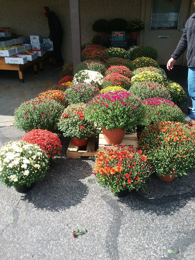 Market «Sweet Berry Fresh Market», reviews and photos, 30022 Euclid Ave, Wickliffe, OH 44092, USA