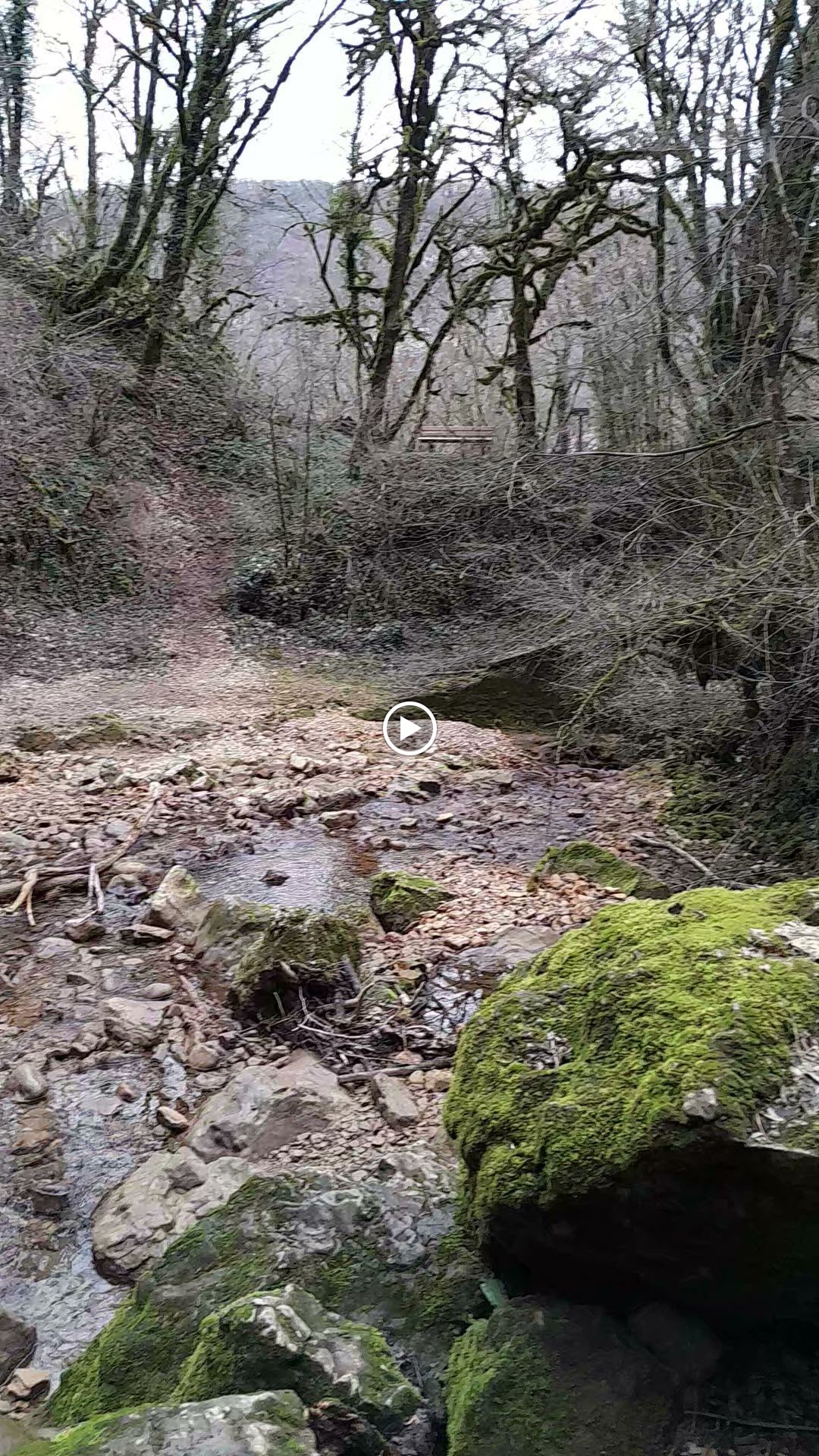 Photo n° 6 de l'avis de Jean.i fait le 03/03/2024 à 17:14