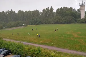 Buivydiškių stadium image