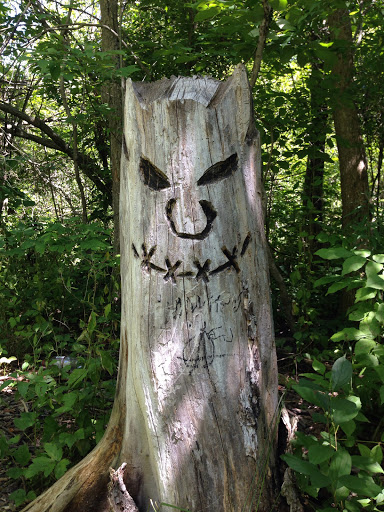 Disc Golf Course «Hudson Mills Disc Golf Course», reviews and photos, 8801 N Territorial Road, Dexter, MI 48130, USA