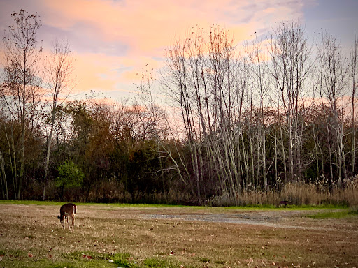 Golf Course «RiverWinds Golf & Tennis Club», reviews and photos, 270 Eagle Point Rd, West Deptford, NJ 08086, USA