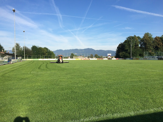 Rezensionen über Sportanlage Rheinauen in Altstätten - Sportstätte