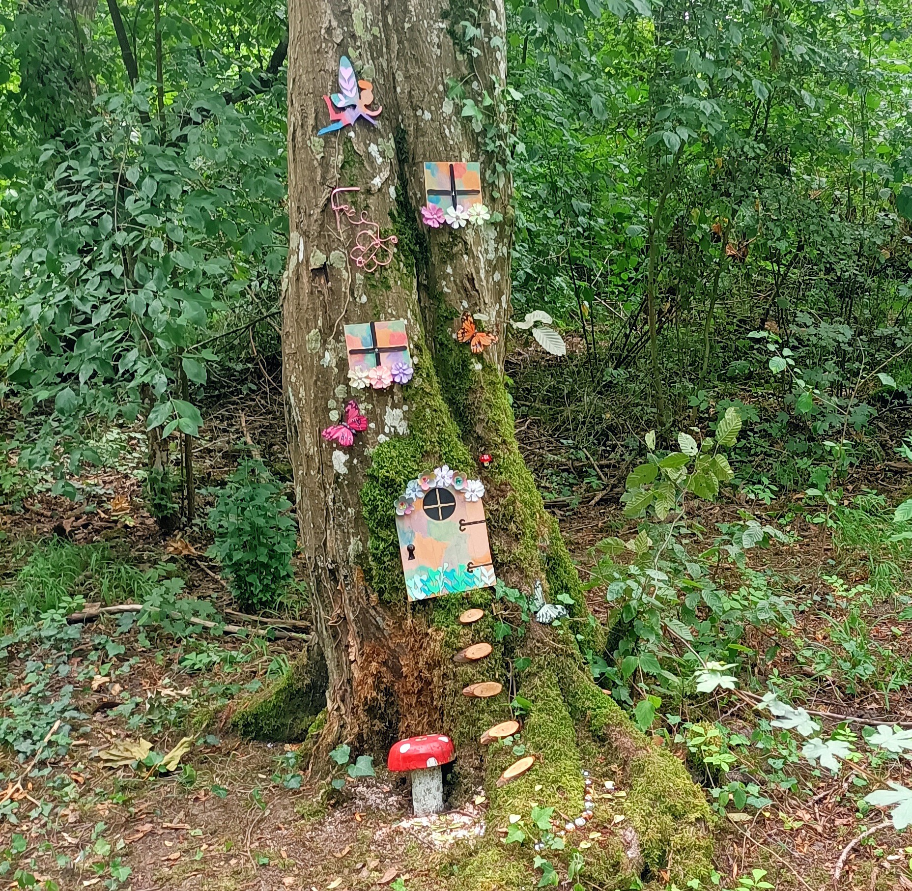 Photo n° 1 de l'avis de Lea.a fait le 10/07/2023 à 20:14