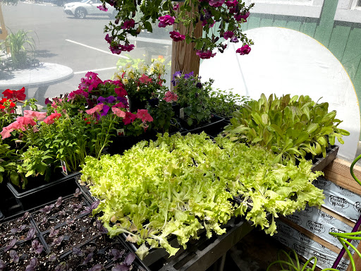 Florist «Petals & Paws», reviews and photos, 465 Albany Turnpike, Canton, CT 06019, USA