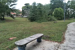 Taman Delima Recreational Park image