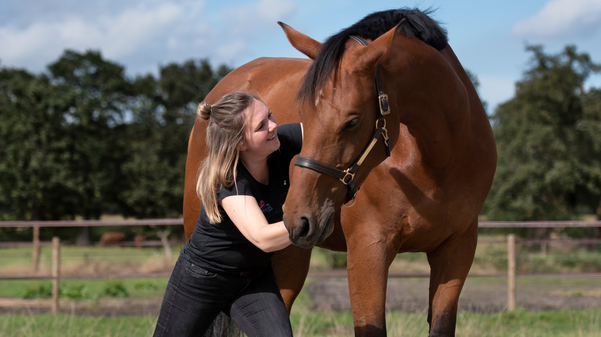 Fysiotherapie voor paarden en honden - Dierfysiotherapie Roelofsen