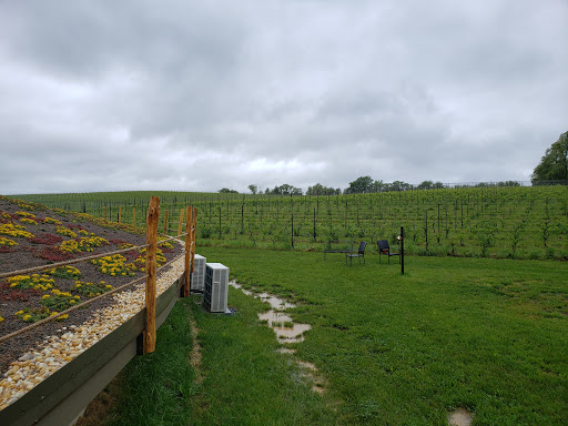 Winery «Black Ankle Vineyards», reviews and photos, 14463 Black Ankle Rd, Mt Airy, MD 21771, USA