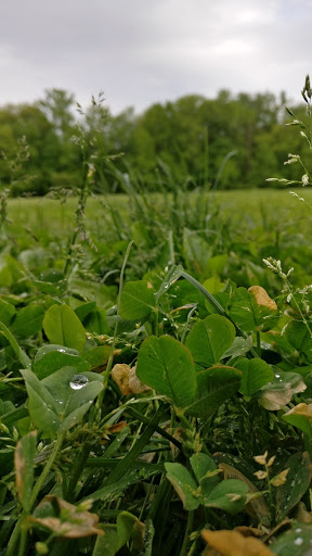 Park «Bonsall Park», reviews and photos, 3000 Silverside Rd, Wilmington, DE 19810, USA