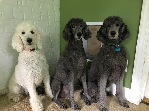 Pet Supply Store «Moore Pet Supplies», reviews and photos, 3170 Airport Dr, La Crosse, WI 54603, USA