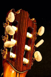 Schneider mistrovské kytary
