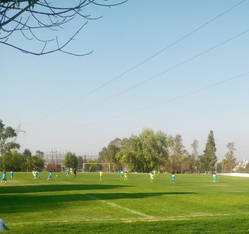 FUTBOL CELESTE