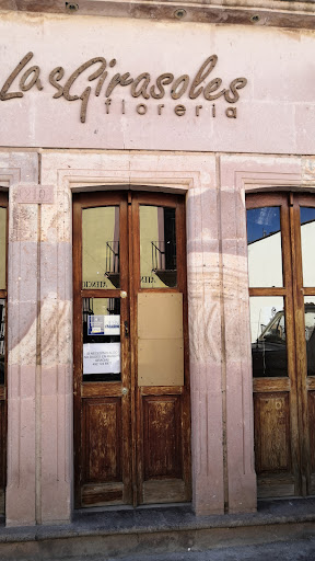 Los Girasoles – Zacatecas