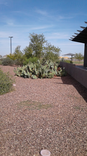 Park «Pioneer Community Park», reviews and photos, 8755 N 83rd Ave, Peoria, AZ 85345, USA
