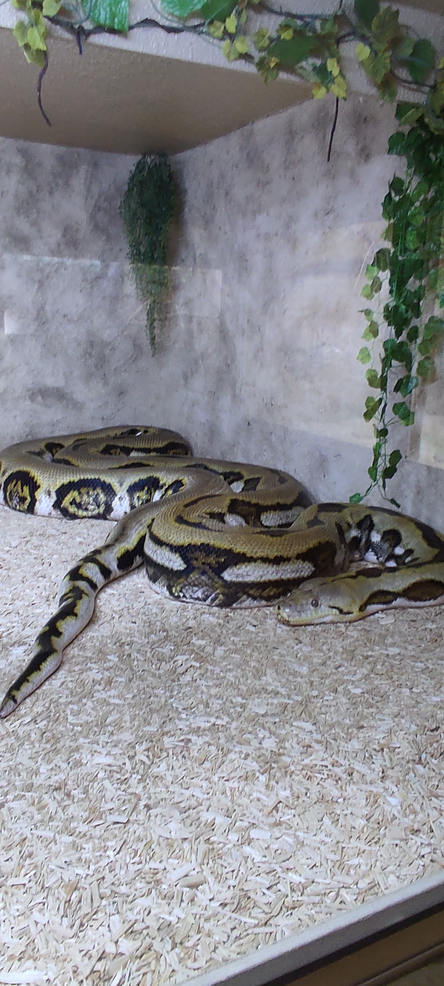 Photo n° 5 de l'avis de Astrid.i fait le 17/09/2021 à 13:14