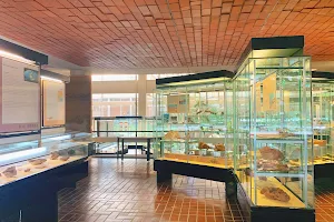 Institute of Earth Sciences Museum image