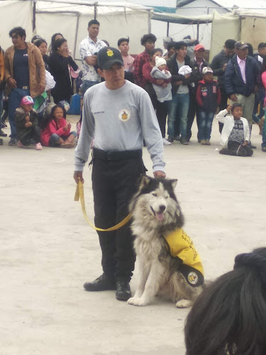 Comentarii opinii despre Escuela de EGB Monseñor Leonidas Proaño