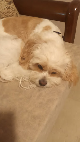 Ιωαννίνων 414, Πρέβεζα 481 00