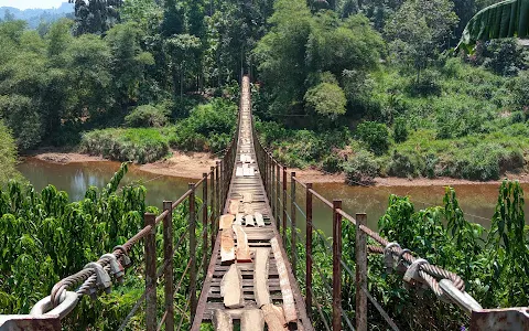 Paththunupitiya Hanging Bridge image