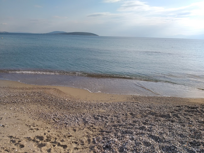 Panoramic View of Drepano (Nafplio) Ανοιχτές ώρες