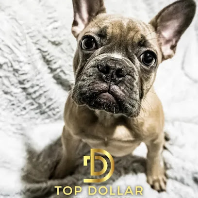 Top Dollar Exclusive Bulldogs