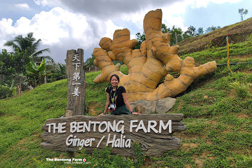 The Bentong Farm 文冬休闲农场