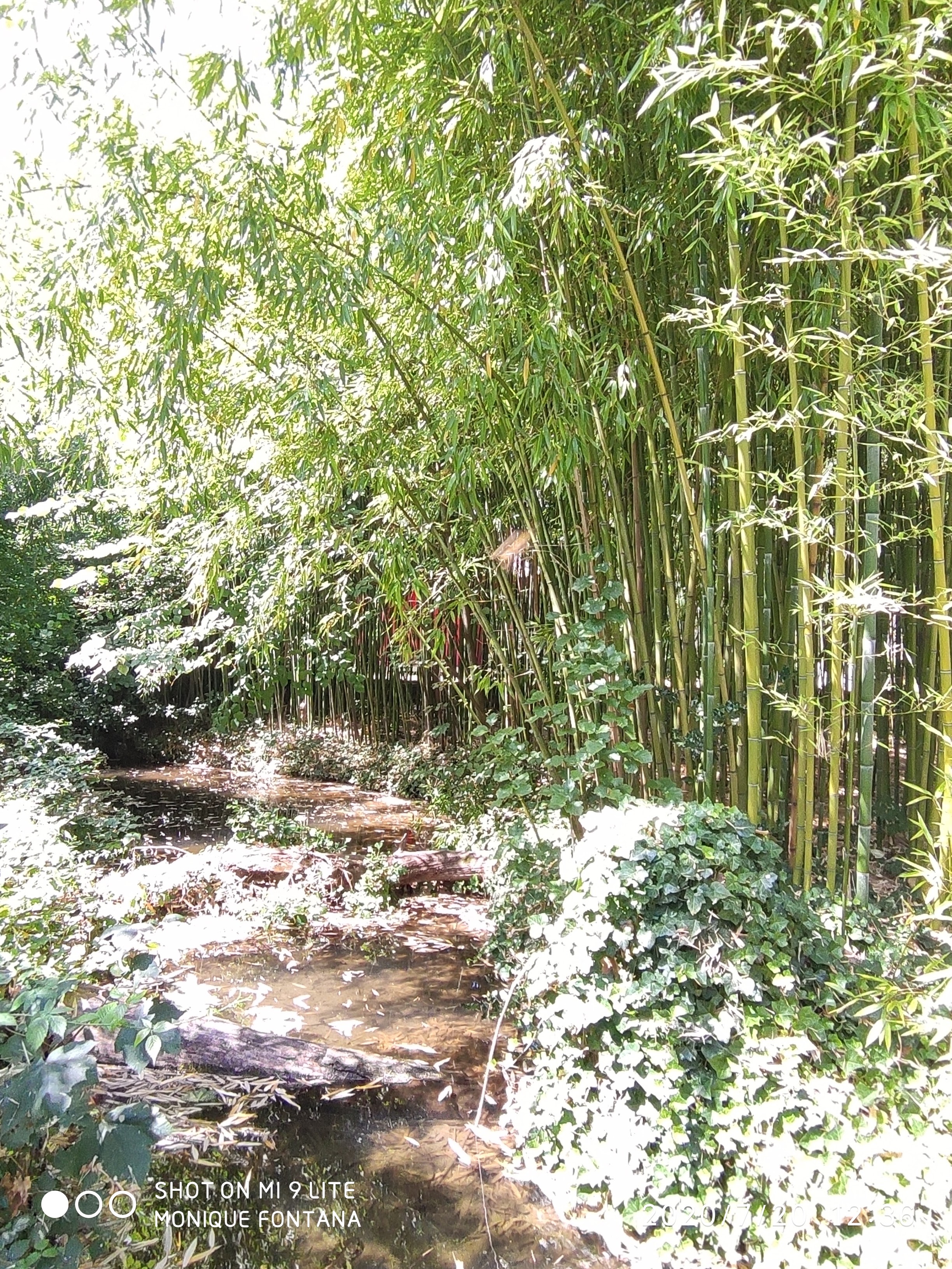 Photo n° 19 de l'avis de monique.O fait le 20/07/2020 à 11:31