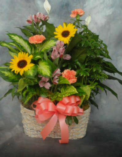 Florist «Batavia Floral Creations & Gifts», reviews and photos, 229 E Main St, Batavia, OH 45103, USA