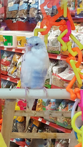 Pet Supply Store «Petco Animal Supplies», reviews and photos, 4012 W 27th Ave, Kennewick, WA 99337, USA