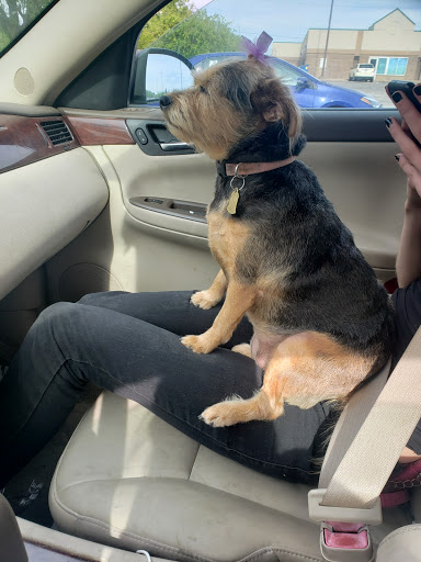 Pet Supply Store «Petco Animal Supplies», reviews and photos, 3860 Elmore Avenue, Davenport, IA 52807, USA