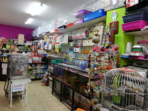 BAPRI en Zumarraga, Guipúzcoa