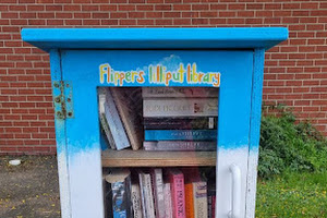 Flippers Lilliput Library