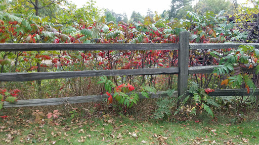 Park «Oakland Park», reviews and photos