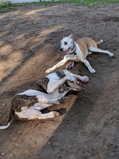 Park «Lawson Park», reviews and photos, 2301 Welton St, Denver, CO 80205, USA