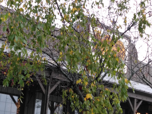 American Restaurant «Cracker Barrel Old Country Store», reviews and photos, 30 Research Dr, Milford, CT 06460, USA