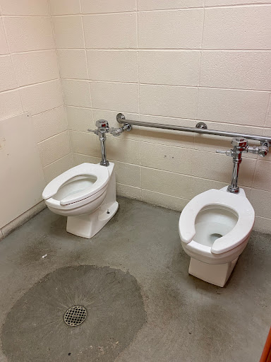 Science Museum «Museum of the Rockies», reviews and photos, 600 W Kagy Blvd, Bozeman, MT 59717, USA