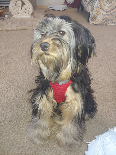 Pet Supply Store «Pet Pros», reviews and photos, 13402 Bothell Everett Hwy, Mill Creek, WA 98012, USA