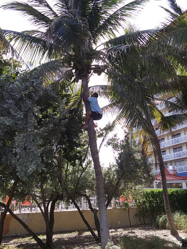 Park «Heritage Park», reviews and photos, 19200 Collins Ave, Sunny Isles Beach, FL 33160, USA