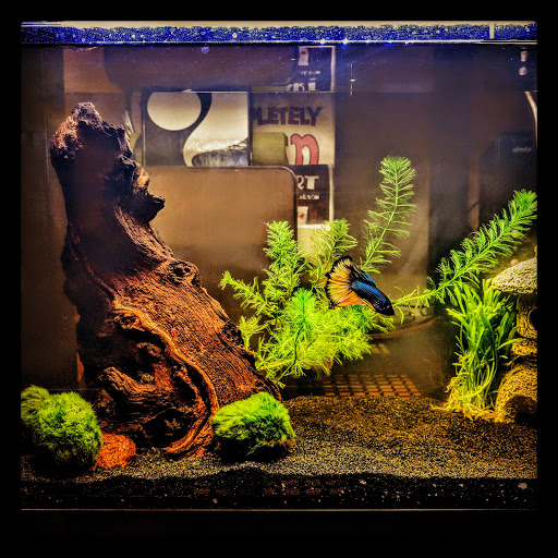 Pet Supply Store «Petco Animal Supplies», reviews and photos, 1169 Valley River Dr, Eugene, OR 97401, USA