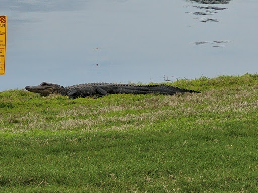 Golf Club «Hampton Hall», reviews and photos, 170 Hampton Hall Blvd, Bluffton, SC 29910, USA