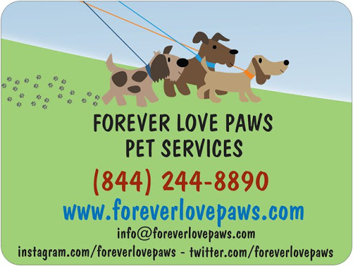 Forever Love Paws Pet services