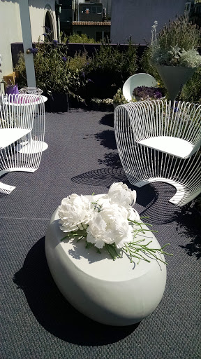 Shopping Mall «North Point Centre», reviews and photos, 320 Bay St, San Francisco, CA 94133, USA