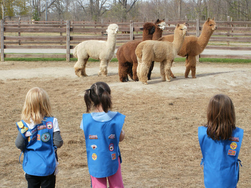 Fashion Accessories Store «Eclipse Alpacas», reviews and photos, 1575 N Coats Rd, Oxford, MI 48371, USA