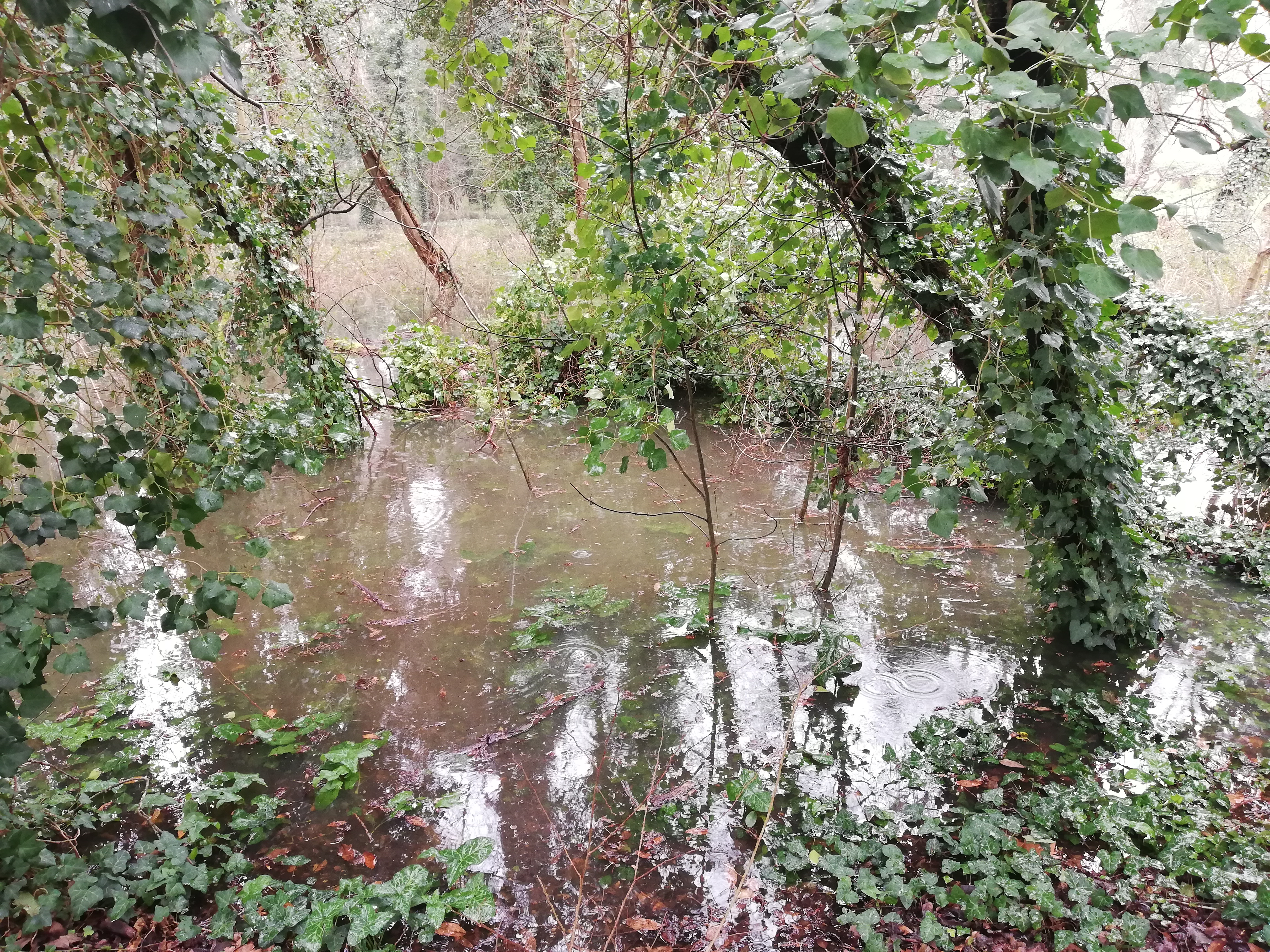 Photo n° 6 de l'avis de Olivier.i fait le 05/02/2021 à 20:52