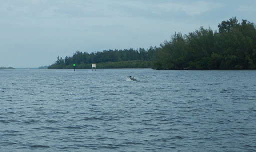 Canoe & Kayak Rental Service «Sea Sup Go Paddle & Surf Company», reviews and photos, 40 Royal Palm Pointe, Vero Beach, FL 32960, USA