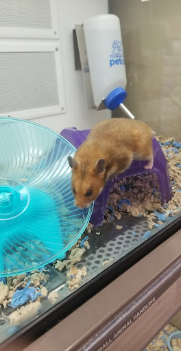 Pet Supply Store «Petco Animal Supplies», reviews and photos, 2210 N Eagle Rd, Meridian, ID 83646, USA